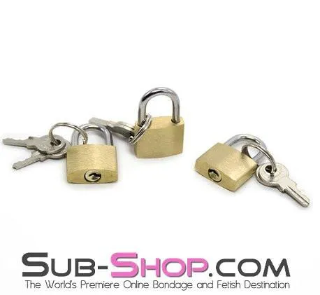 8983DL      Brass Bondage Gear Padlock - MEGA Deal