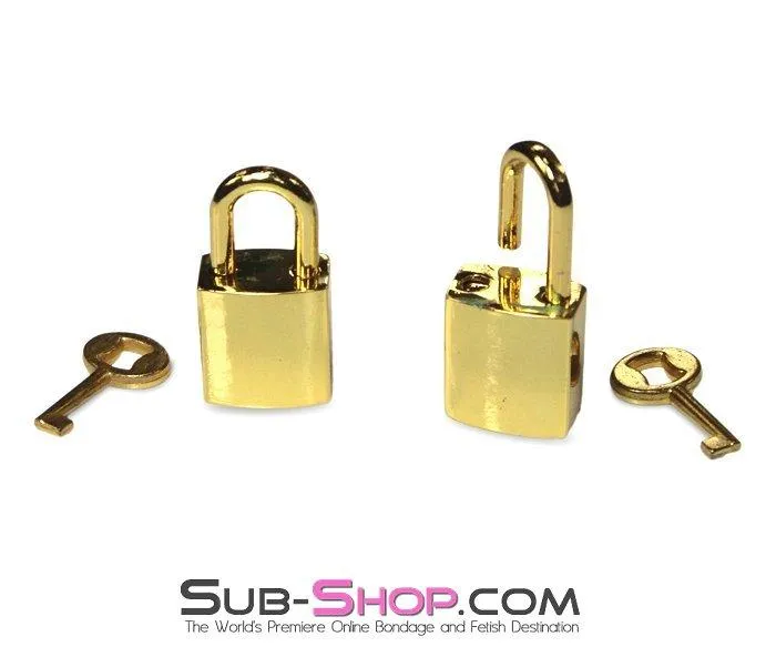 9750A      Gold Series Bondage Gear Padlocks Pair Set