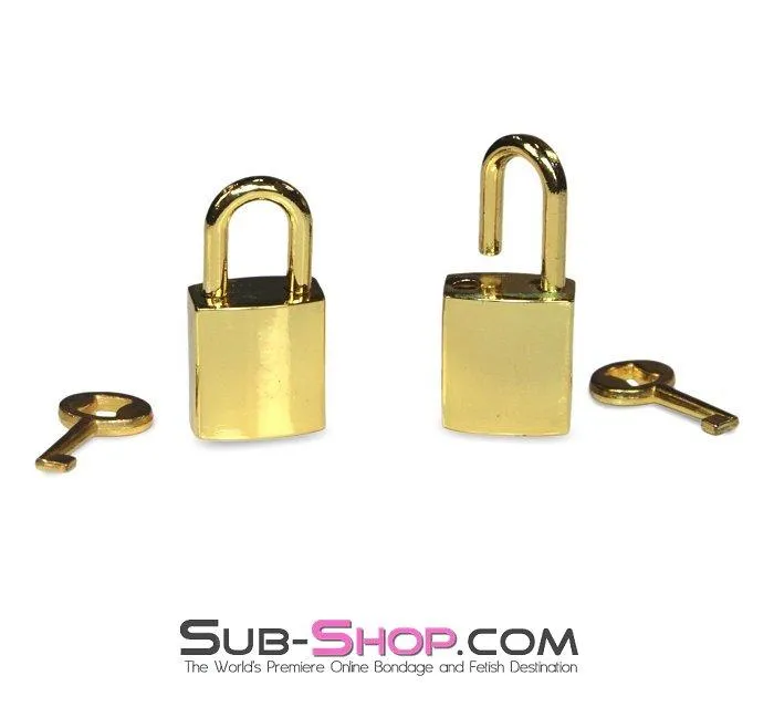 9750A      Gold Series Bondage Gear Padlocks Pair Set