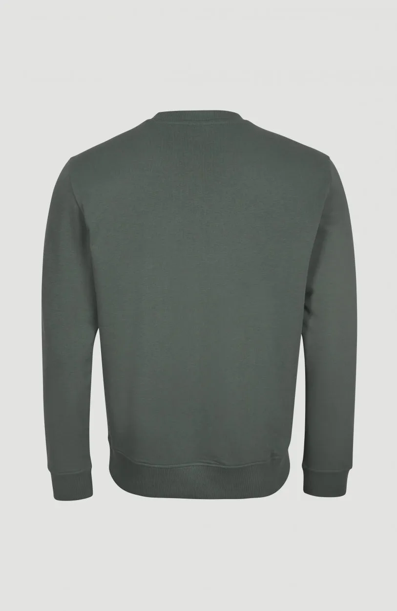 Circle Surfer Crew Sweatshirt | Balsam Green