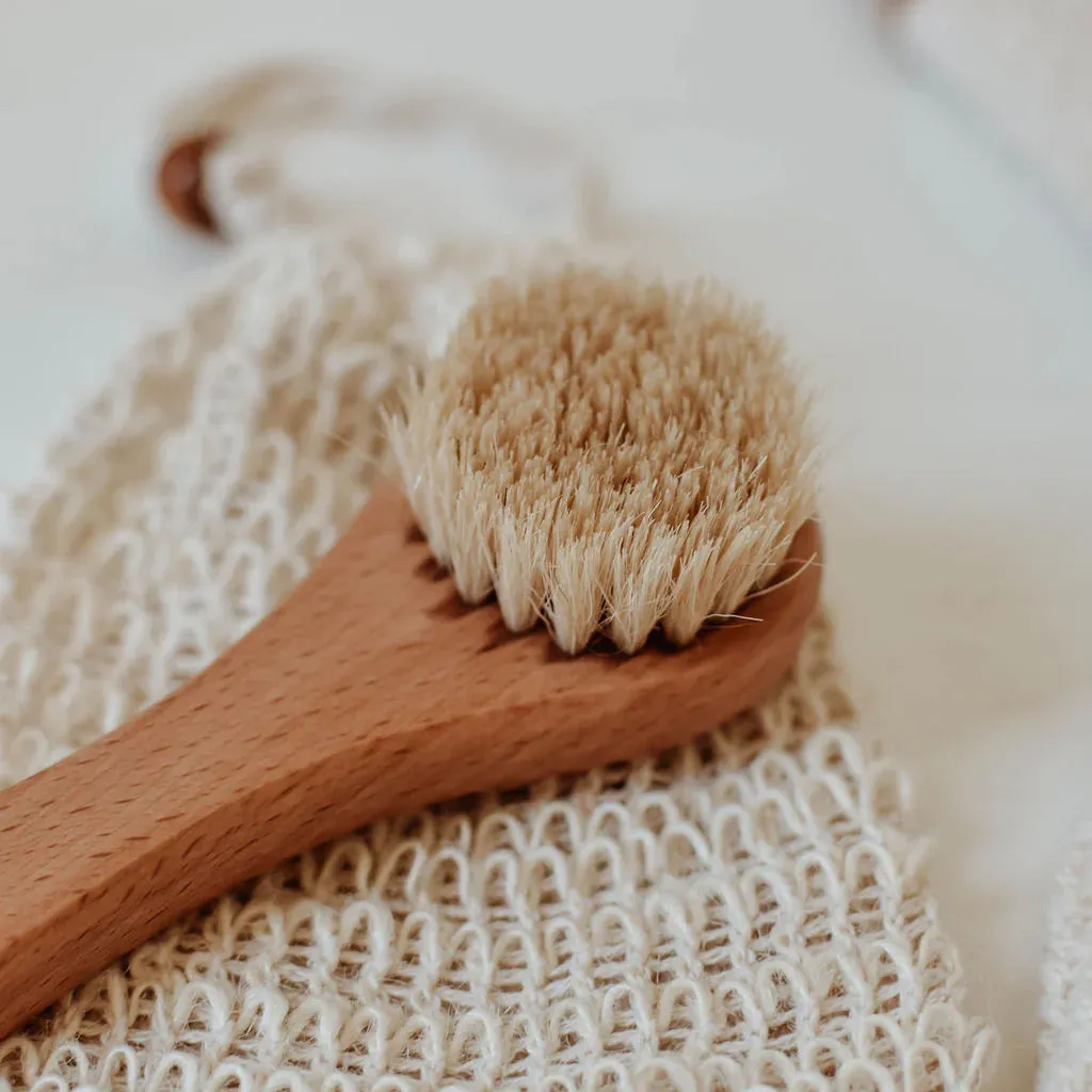 Dry Face Brush