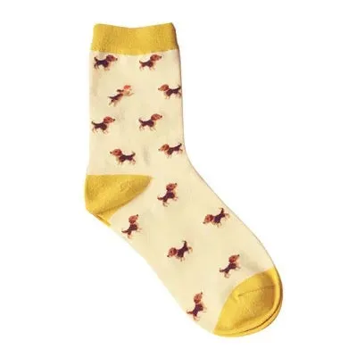 Foot 22-27cm Lovely Daily Animal Weel Socks Watermelon Dachshund Beagle Lion Farm Bull Terrier Elephant Fox Pill Fruit Dog Combo