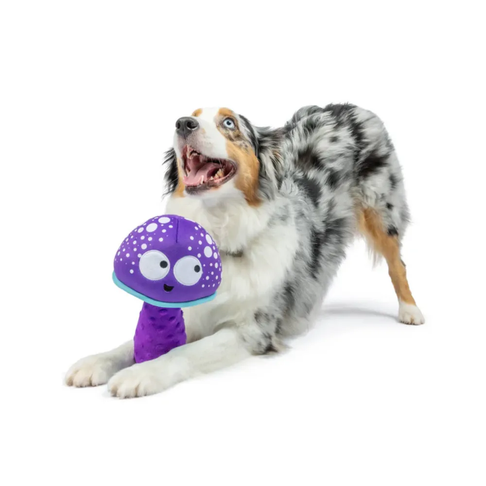 The Mellow Mushroom Plush Dog Toy